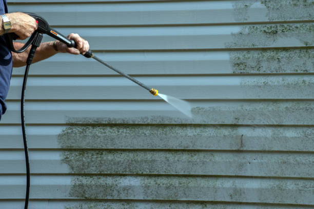Best Dumpster Area Cleaning  in Breckenridge, MI